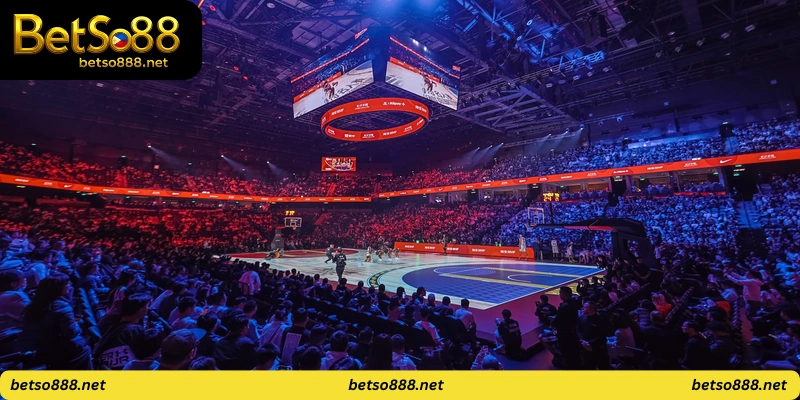 arenas where matches take place