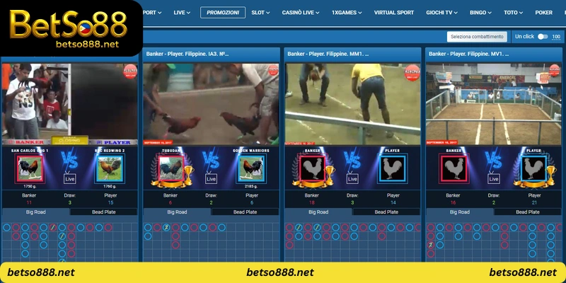 betso88 cockfighting