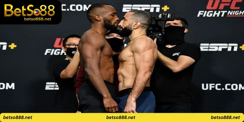 Fight Night Odds