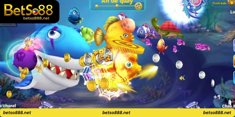 fish-shooting-rewards