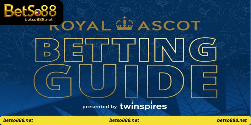 Guides on how to bet or win