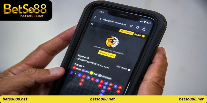 Mobile applications for cockfighting