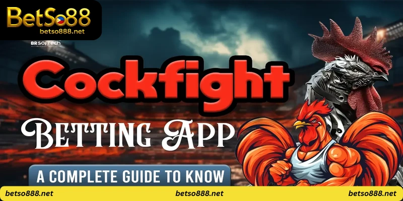 Mobile applications for cockfighting