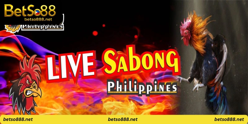 Pinoy Sabong Live