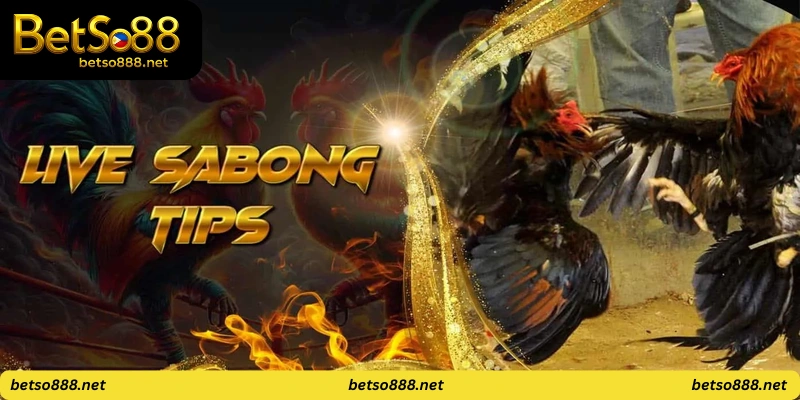 Pinoy Sabong Live