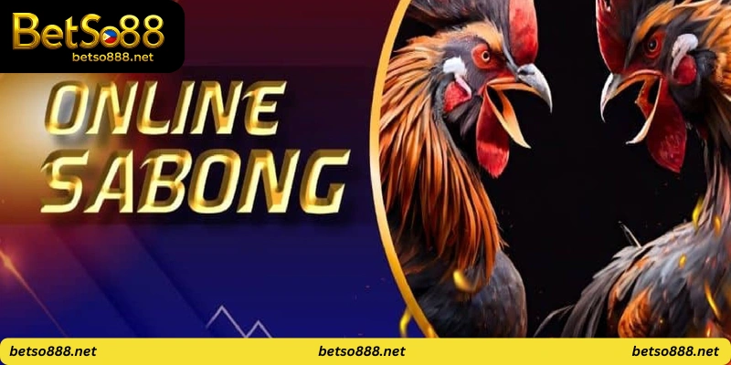 Pinoy Sabong Live