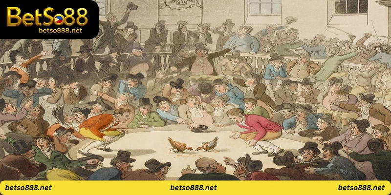 Royal Cockfight