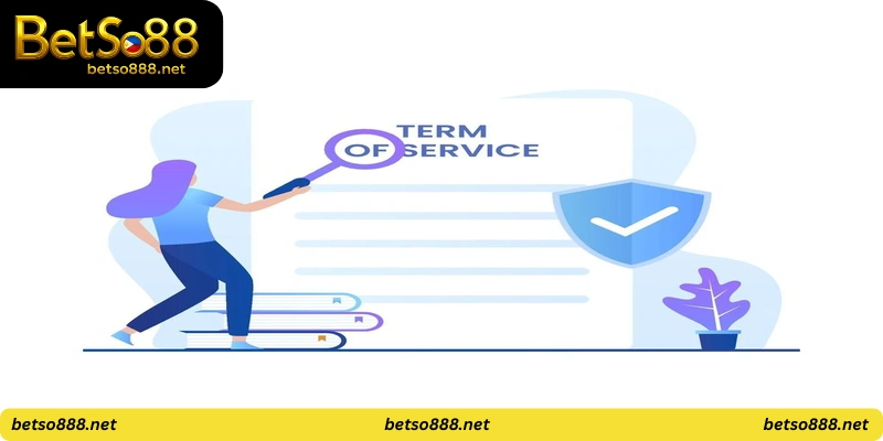 Terms and Conditions
