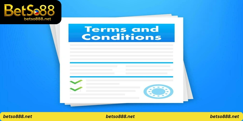 Terms and Conditions