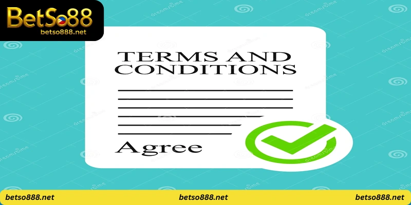 Terms and Conditions
