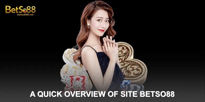 A Quick Overview of the Reputable Betting Site Betso88
