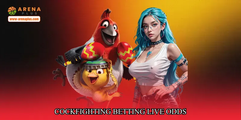 cockfighting betting live odds